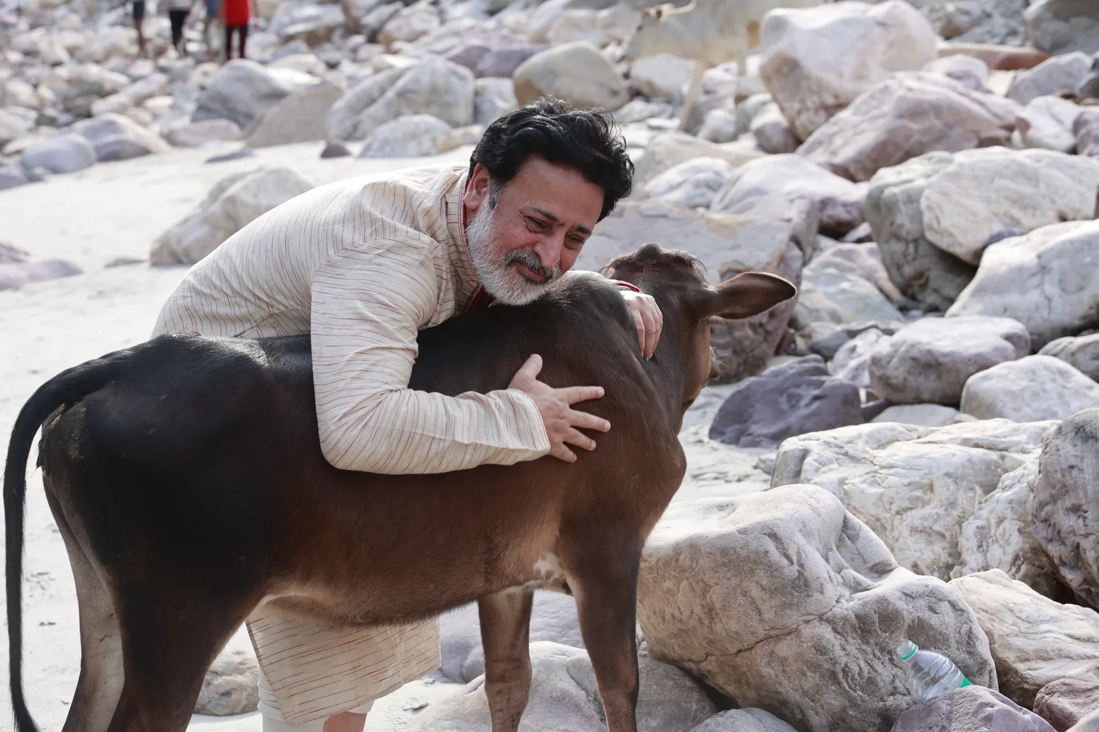 Dogs & Cows Seva — photo 19